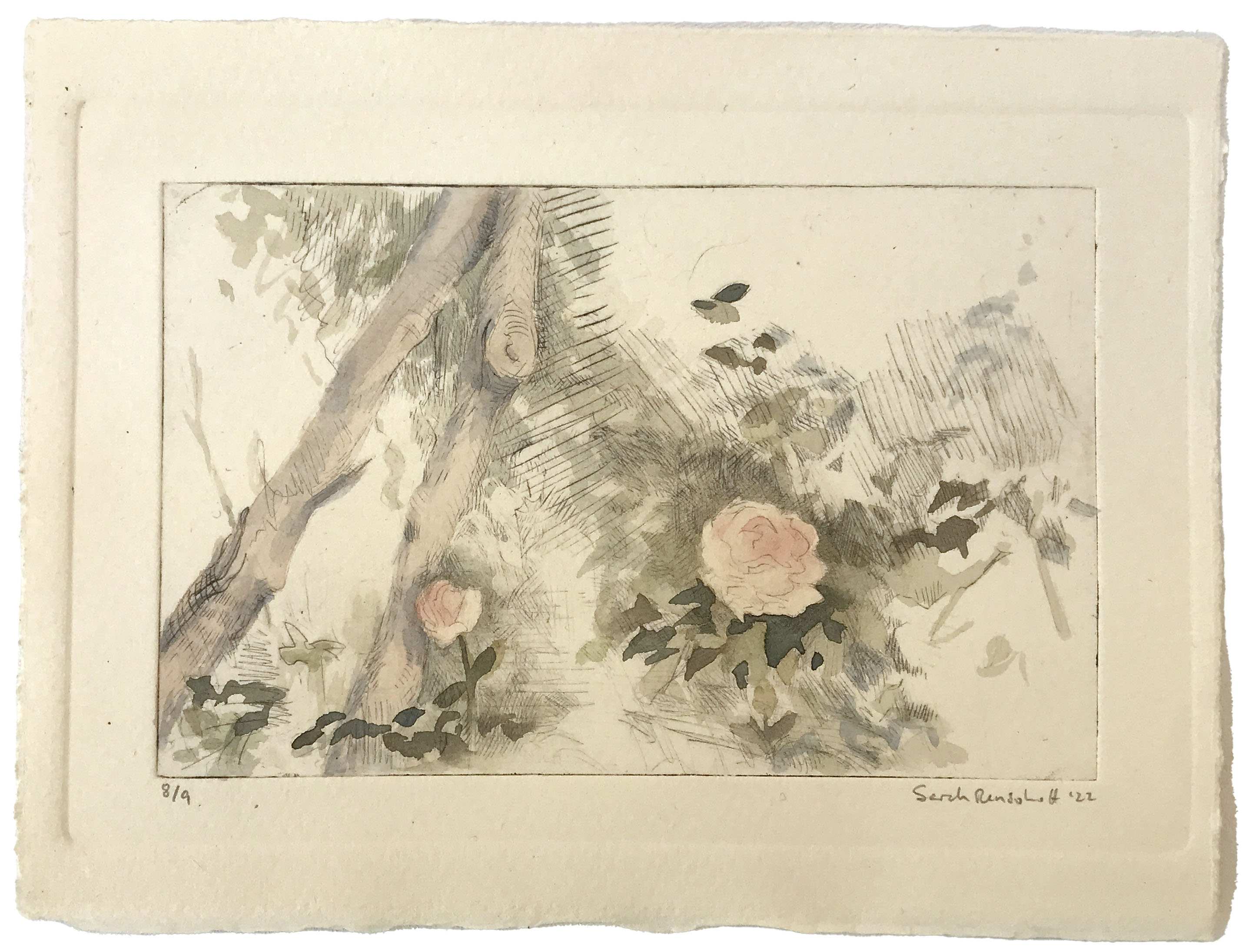 The Ninth Rose\n Click to see all nine\n drypoint and watercolor on cotton\n 6x3.75